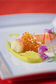 Key West Shrimp with Citrus Avocado and Hazelnuts Cream, Executive Chef Jeffrey Brana, Restaurant Brana, Coral Gables, Miami, Florida, USA