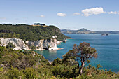 Blick auf Cathedral Cove, nahe Hahei, Coromandel Peninsula, Nordinsel, Neuseeland