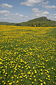Spring Meadow and Hikers and Milseburg Mountain, Near Wasserkuppe Mountain, Rhoen, Hesse, Germany