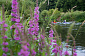 Canoe paddlers on a river, Fraenkische Saale, near Bad Kissingen, Rhoen, Bavaria, Germany
