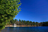 View of Walden Pond, Lincoln, Massachusetts, USA