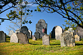 Gravestones in Concord Cemetery, Concord, Massachusetts, USA