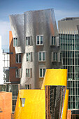 Moderne Architektur, Frank Gehrys Ray and Maria Stata Building, MIT, Cambridge, Massachusetts, USA