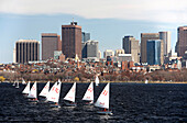 Charles River mit Segelboote und Boston Skyline, Boston, Massachusetts, USA