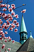 Eine Kirche und Kirschblüten, Historic Beacon Hill, Boston, Massachusetts, USA