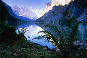 Watzmann spiegelt sich im Obersee, Nationalpark Berchtesgaden, Bayern, Deutschland