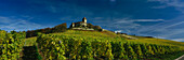 Burg Lichtenberg mit Weinbergen, Oberstenfeld, Baden-Württemberg, Deutschland