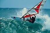 Windsurfer, Hookipa Beach, Hawaii