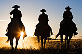 Cowboys reiten bei Sonnenuntergang, Oregon, USA