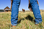 Cowboy boots, horse and barn, wildwest, Oregon, USA