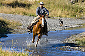 Cowboy reitet durch Bach, Oregon, USA