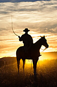 Cowboy bei Sonnenuntergang, Oregon, USA
