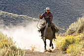 cowboy riding, Oregon, USA