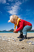 Kind, Mädchen sammelt Muscheln am Strand der Insel Store Molla, Lofoten, Norwegen, MR