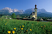 Kirche von Going mit Löwenzahnwiese und Wilder Kaiser, Kaisergebirge, Tirol, Österreich