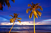 Khao Lak beach with palm trees, Kao Lak, Thailand, Asia