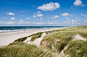 Dünen und Strand, Henne Strand, Jütland, Dänemark, Europa