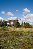 Ferienhaus mit Reetdach in Dünen, Henne Strand, Jütland, Dänemark, Europa