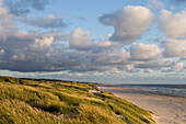 Dunes and Henne Strand Beach, Henne Strand, Central Jutland, Denmark