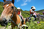 Tour on horseback, family, Okopako Lodge, near Opononi, at Hokianga Harbour, Northland, North Island, New Zealand