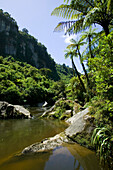 Punakaiki River, Punakaiki National Park north of Hokitika, Westcoast, South Island, New Zealand