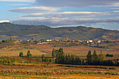 Landschaft mit Windräder bei Muruzábal, Sierra del Perdón, Navarra, Spanien