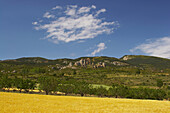 Burg, Castillo de Loarre in Frühsommer mit Getreidefelder, Loarre, Aragonien, Spanien