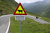 Motorradtour Silvretta Pass, Motorradtour im Juni über Alpenpässe, Silvretta, Österreich, Passstrasse, Alpenpass, Regen, Motorradfahrer auf Passhöhe, Warnschild Kühe, Kuh