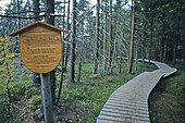 Hochmoor Wanderweg zum Brocken, Torfhaus, Harz, Niedersachsen, Deutschland