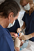 Mann bekommt eine Zahnbehandlung, Hannover, Niedersachsen, Deutschland, MR