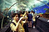 Visitor, Underwater World Aquarium, Sentosa Island, Singapore
