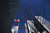 High rise buildings, skyscrapers with Japanese Flag, Tokyo, Japan