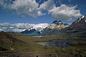 Paine Massiv, Nationalpark Torres del Paine, Anden, Patagonien, Chile