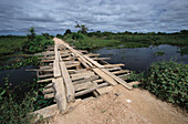 Timber Bridge, Transpantaneira, Pantanal, Mato Grosso, Brazil