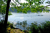 People bathing in lake Langbürgner See, Chiemgau, Upper Bavaria, Bavaria, Germany