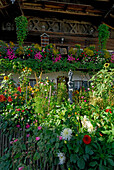 flower garden in front of farmhouse, Petting, lake Waginger See, Chiemgau, Upper Bavaria, Bavaria, Germany