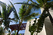 Palm Trees and Resort Architecture, Le Touessrok Resort, Trou d'Eau Douce, Flacq District, Mauritius