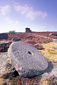 Millstone, Peak District National Park, Derbyshire, England, United Kingdom