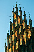 Gable of old Town Hall, Hannover, Lower Saxony, Germany