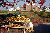 Landcaster country, Amish roadside produced market near Leola.