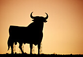 Bull silhouette, typical advertising of Spanish brandy Osborne. Navarre, Spain