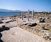 Roman mosaic at the ruins of Nora. Sardinia. Italy