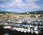 Santa Margherita. Liguria. Italy