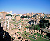 Roman forum. Rome. Italy