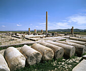 Ruins of Achaemenian palace. Pasargadae. Iran
