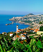 Funchal city in Medeira Island. Portugal