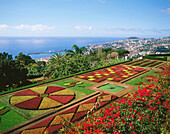 Botanical Garden in Funchal City. Madeira Island. Portugal
