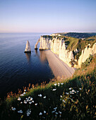 Cliff at Etretat. Normandie. France