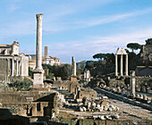 Roman forum ruins, Rome. Lazio, Italy