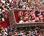 The Tomatina festival. Bunyol, Valencia province, Spain